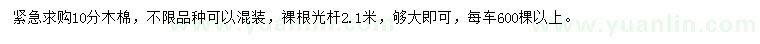 求購10公分木棉