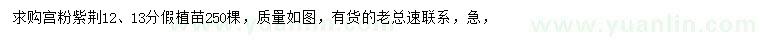 求購12、13公分宮粉紫荊