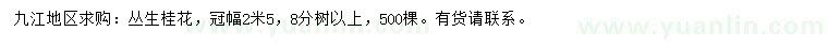 求購冠幅2.5米叢生桂花