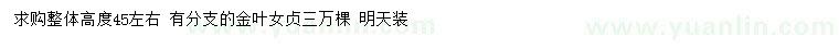 求購(gòu)高45公分金葉女貞