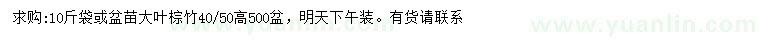求購高40、50公分大葉棕竹