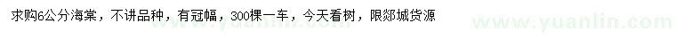 求購6公分海棠
