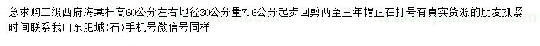 求購30公分量7.6公分以上西府海棠