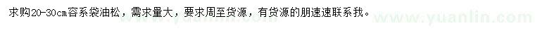 求購20-30公分油松
