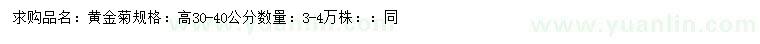 求購高30-40公分黃金菊