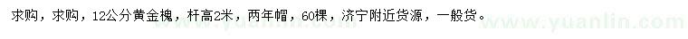求購12公分黃金槐