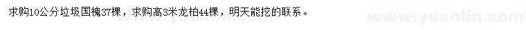 求購10公分國槐、高3米龍柏
