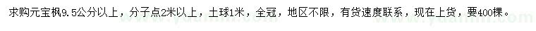 求購9.5公分以上元寶楓