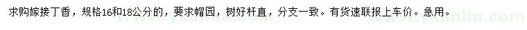 求購16、18公分丁香