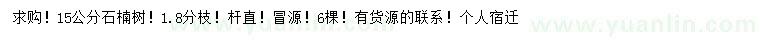 求購15公分石楠樹