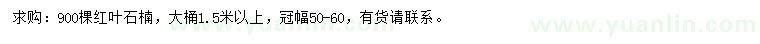 求購冠幅50-60公分紅葉石楠