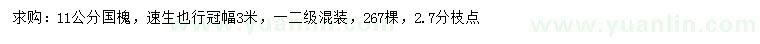 求購11公分國槐