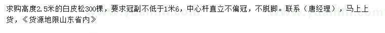 求購(gòu)高2.5米白皮松