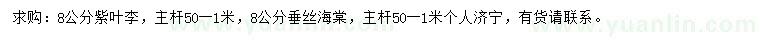 求購(gòu)8公分紫葉李、垂絲海棠