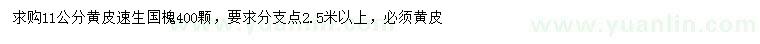 求購11公分速生國槐