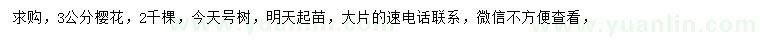 求購3公分櫻花