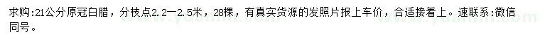 求購21公分白蠟