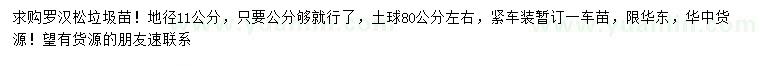 求購地徑11公分羅漢松