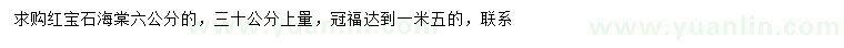 求購(gòu)6公分紅寶石海棠