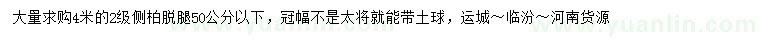 求購(gòu)4米側(cè)柏