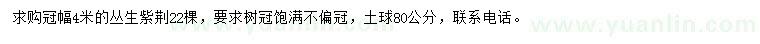 求購冠幅4米叢生紫荊