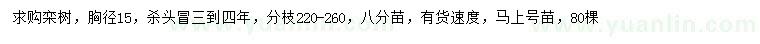 求購胸徑15公分欒樹