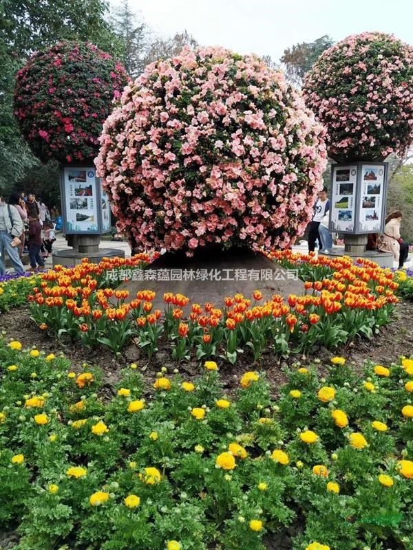 成都真植物綠雕造型 四川真植物雕塑廠(chǎng) 真植物動(dòng)物造型