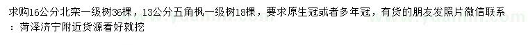 求購16公分北欒、13公分五角楓