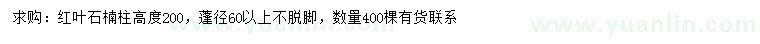 求購(gòu)高200公分紅葉石楠柱