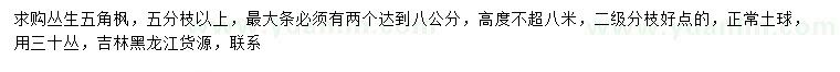 求購叢生五角楓
