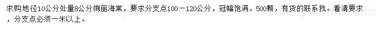求購10公分量8公分絢麗海棠