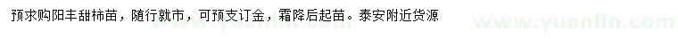 求購陽豐甜柿苗