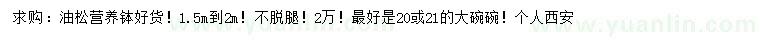 求購1.5-2米油松