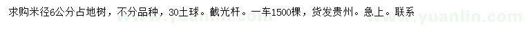 求購米徑6公分占地樹