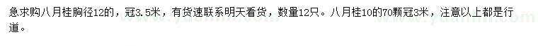 求購胸徑10、12公分八月桂