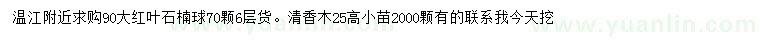 求購90公分紅葉石楠球、高25公分清香木