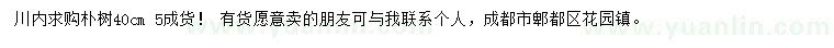 求購40公分樸樹