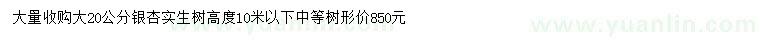 求購20公分銀杏