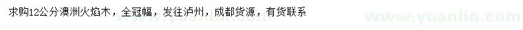 求購12公分澳洲火焰木