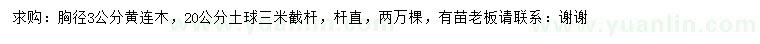 求購胸徑3公分黃連木