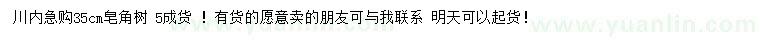 求購35公分皂角