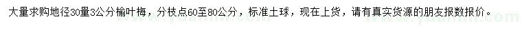 求購地徑30量3公分榆葉梅