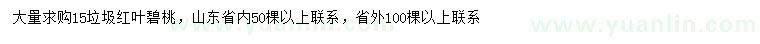 求購15公分紅葉碧桃