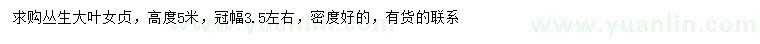 求購高5米叢生大葉女貞