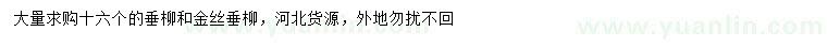 求購(gòu)16公分垂柳、金絲垂柳