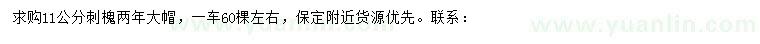 求購11公分刺槐