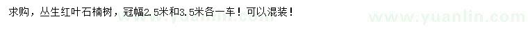 求購冠幅2.5、3.5米叢生紅葉石楠