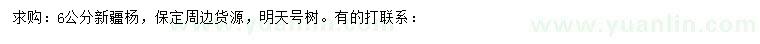 求購(gòu)6公分新疆楊
