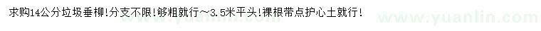 求購14公分垂柳
