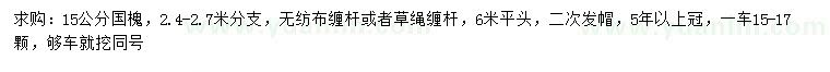 求購15公分國槐